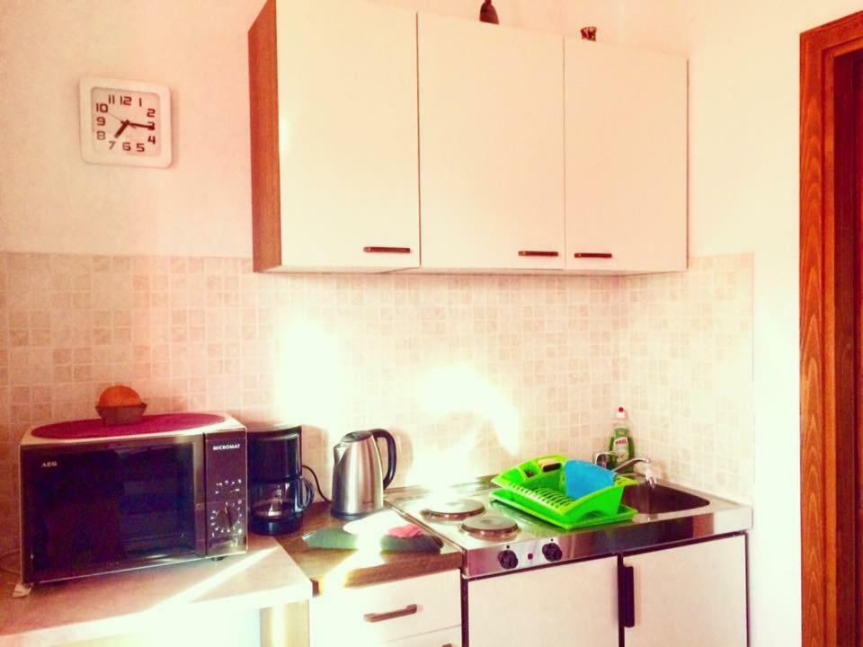 Apartment Emanuela ロヴィンスコ・セロ エクステリア 写真